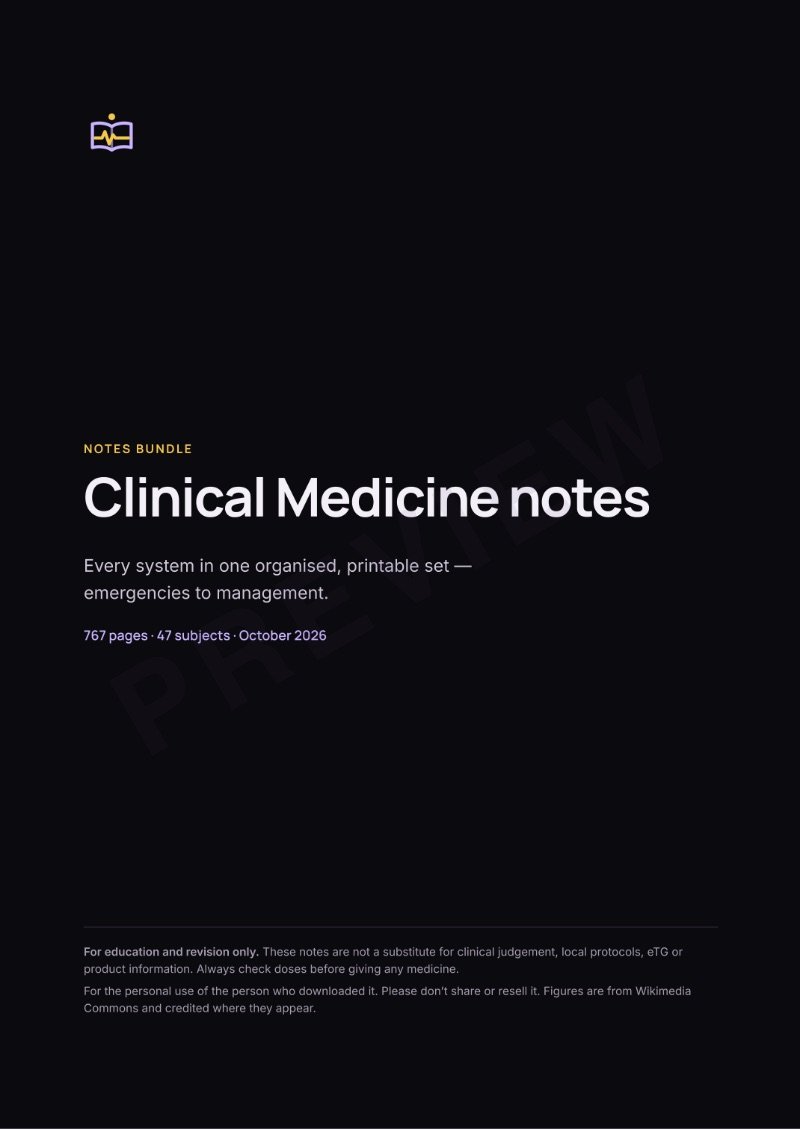 Clinical Medicine notes bundle preview 2